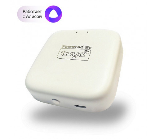 WIFI конвертер Denkirs SMART DK7400-WF