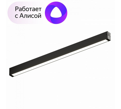 Трековый светодиодный светильник Denkirs DK8005-BK Трековый светодиодный светильник Denkirs DK8005-BK
