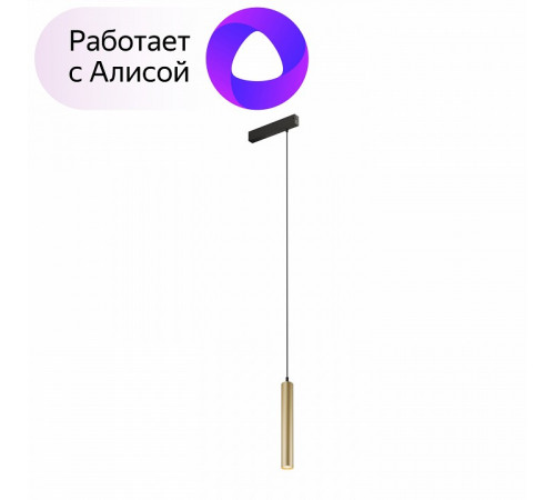 Трековый светильник Denkirs Smart DK8008-BG