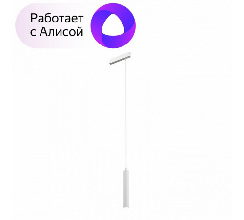 Трековый светильник Denkirs Smart DK8008-WH Трековый светильник Denkirs Smart DK8008-WH