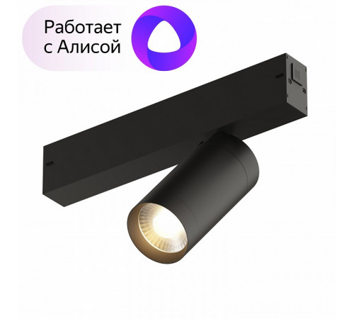 Трековый светильник Denkirs DK8010-BK