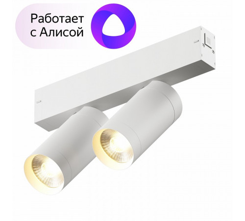 Трековый светильник Denkirs Smart DK8012-WH Трековый светильник Denkirs Smart DK8012-WH