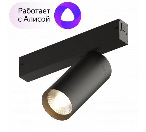 Трековый светильник Denkirs Smart DK8020-BK Трековый светильник Denkirs Smart DK8020-BK