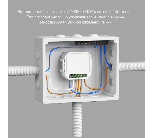 Двухканальное Wi-Fi реле-диммер Denkirs Relay RL1004-DM/1 Двухканальное Wi-Fi реле-диммер Denkirs Relay RL1004-DM/1