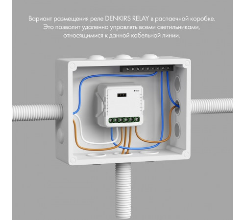 Wi-Fi реле Denkirs RL1004-DM Wi-Fi реле Denkirs RL1004-DM