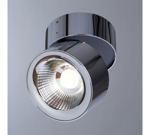 Спот Divinare Urchin 1295/02 PL-1
