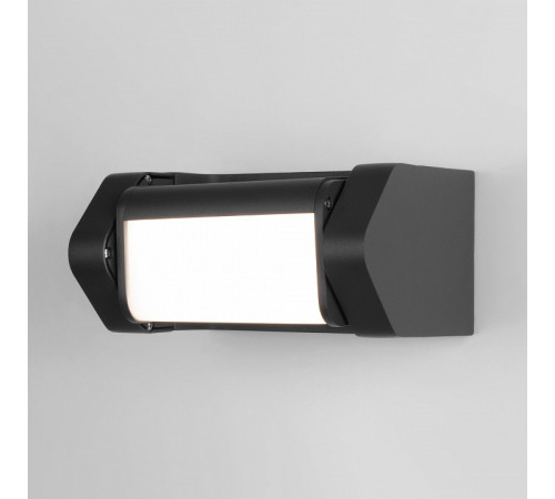Уличный настенный светильни Elektrostandard Dors 35163/D черный 4690389194160 a062882