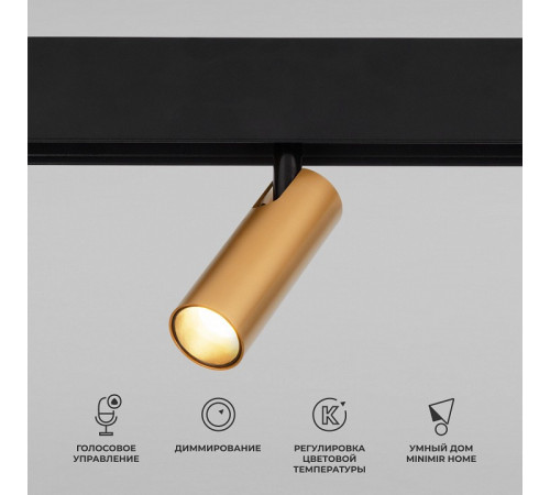 Трековый магнитный светильник Elektrostandard Slim Magnetic 4690389195280 a063529