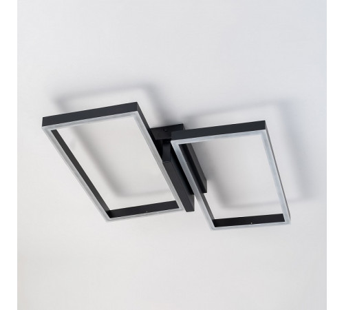 Потолочный светильник Escada Scales 10209/2LED Black