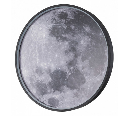 Настенно-потолочный светильник Escada Planet 10226/SG LED Moon
