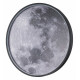 Настенно-потолочный светильник Escada Planet 10226/SG LED Moon