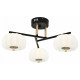 Потолочная люстра Escada Halma 10301/3LED
