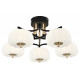Потолочная люстра Escada Halma 10301/5LED