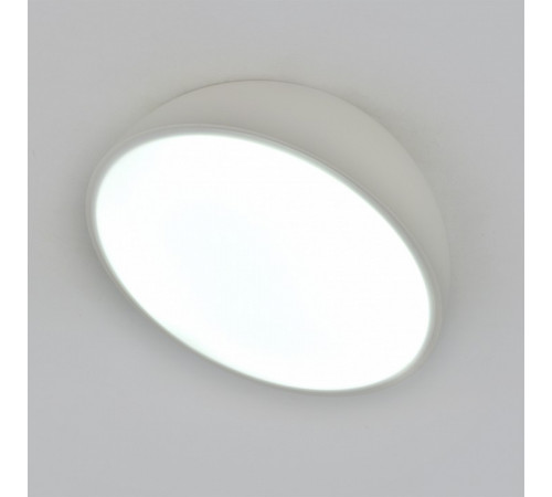 Потолочный светильник Escada 20025SMA/01LED WH