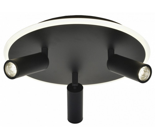 Потолочный светильник Escada 20046SMA/03LED BK