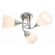 Потолочный светильник Escada Camellia 664/3P