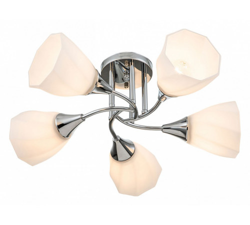 Потолочная люстра Escada Camellia 664/5P