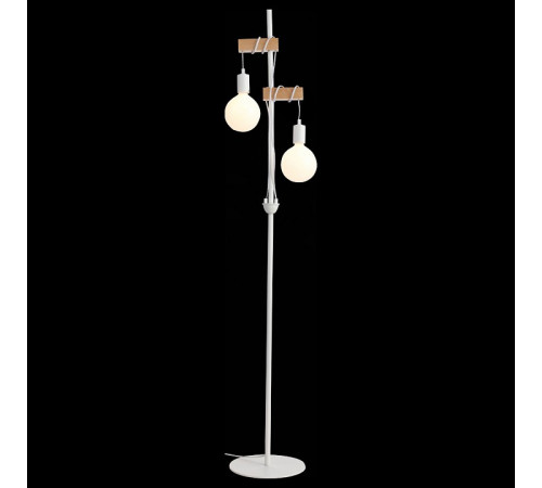 Торшер EVOLUCE BAGETTI SL1142.505.01