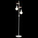 Торшер EVOLUCE BAGETTI SL1142.505.01