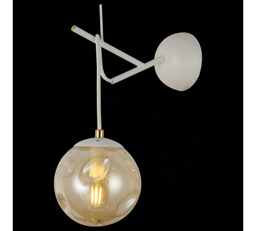 Настенный светильник EVOLUCE CALLETTA SLE110201-01
