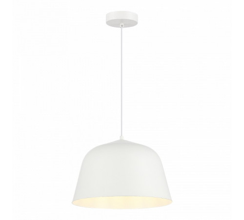 Подвесной светильник Evoluce Blank SLE1805-503-01