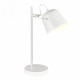 Настольная лампа Evoluce Blank SLE1805-504-01