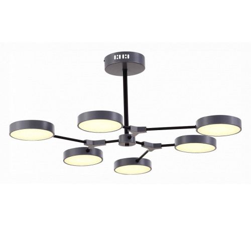 Потолочный светильник Evoluce Monta SLE6003-702-06