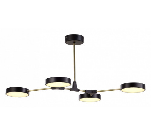 Потолочный светильник Evoluce Monta SLE6004-402-04 Потолочный светильник Evoluce Monta SLE6004-402-04