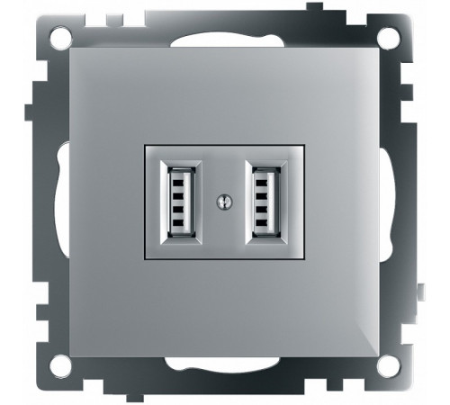 Розетка USB 2-местная Stekker Катрин 39588 Розетка USB 2-местная Stekker Катрин 39588