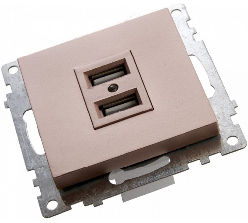 Розетка USB 2-местная Stekker Катрин 39602 Розетка USB 2-местная Stekker Катрин 39602