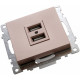 Розетка USB 2-местная Stekker Катрин 39602