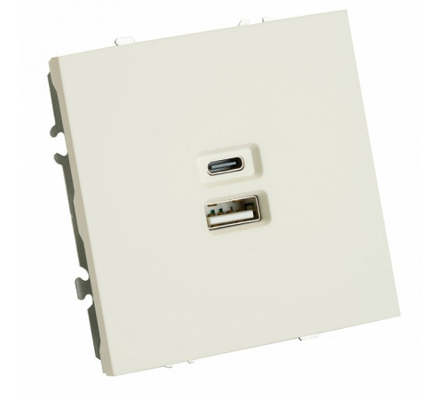Розетка 2-местная USB + Type C Stekker RST10-5115-01 Эмили 49879