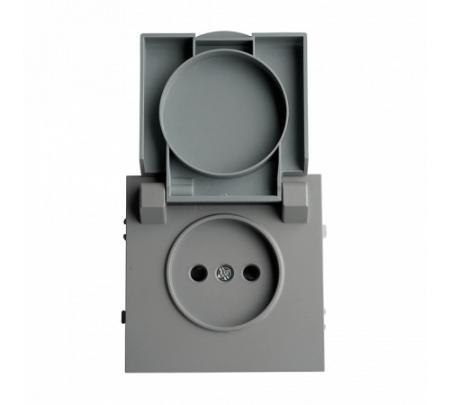 Розетка 1-местная с крышкой и защитными шторками Stekker Эмили RST16-5113-10 49956 Розетка 1-местная с крышкой и защитными шторками Stekker Эмили RST16-5113-10 49956