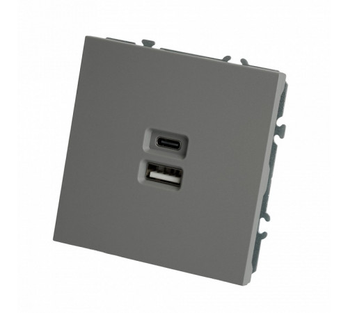 Розетка 2-местная USB + Type C Stekker Эмили RST10-5115-10 49957