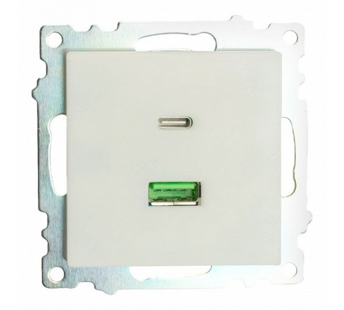 Розетка 2-местная USB + type C Stekker Катрин GLS10-7116-01 50051