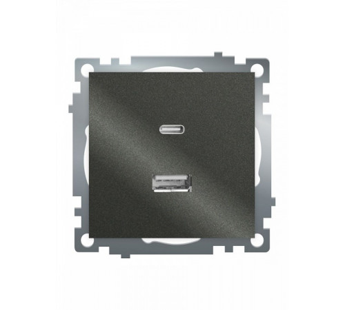 Розетка 2-местная USB + type C Stekker Катрин GLS10-7116-06 50052 Розетка 2-местная USB + type C Stekker Катрин GLS10-7116-06 50052