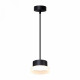 Подвесной светильник Feron Opal HL4608 51687