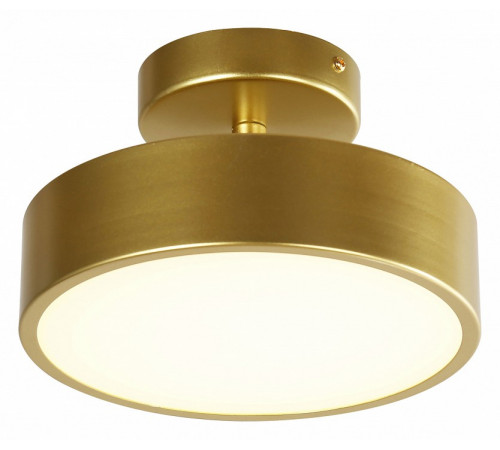 Потолочный светильник F-Promo Atma 3059-2P Потолочный светильник F-Promo Atma 3059-2P