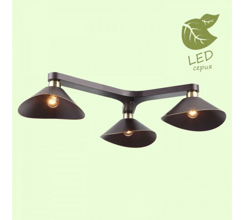 Накладная люстра Lussole Loft Opelika GRLSP-9534 Накладная люстра Lussole Loft Opelika GRLSP-9534