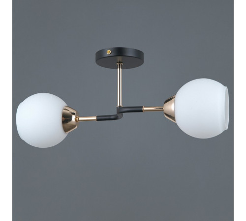 Потолочный светильник Illumico IL0689-2CSQ-24 BK FGD LIBRA