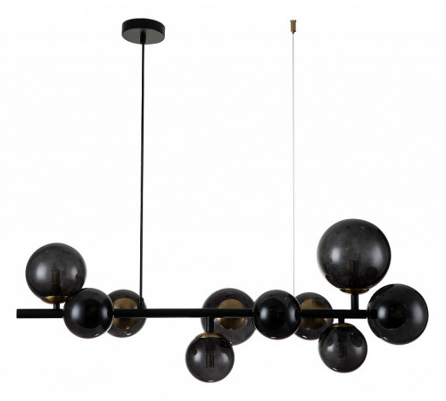 Подвесная люстра Indigo Molecola 11018/10P Black V000196