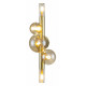 Настенный светильник Indigo Canto 11026/5W Gold V000249