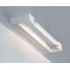 Светильник для картин ITALLINE IT01-1068/45 white