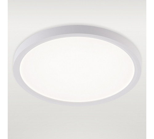Потолочный светильник Natali Kovaltseva Plain LED LAMPS 81113/2C Потолочный светильник Natali Kovaltseva Plain LED LAMPS 81113/2C