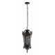 Уличный подвесной светильник Loft IT Tremezzo 100019P BS