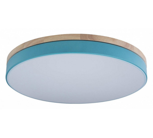 Потолочный светильник Loft IT AXEL 10001/36 Blue Потолочный светильник Loft IT AXEL 10001/36 Blue