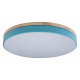 Потолочный светильник Loft IT AXEL 10001/36 Blue
