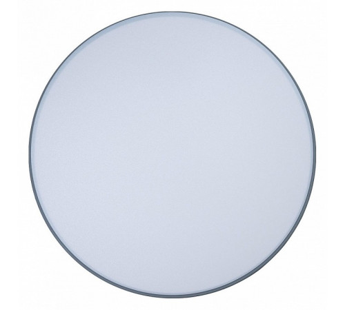 Потолочный светильник Loft IT AXEL 10001/36 Grey