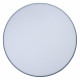 Потолочный светильник Loft IT AXEL 10001/36 Grey