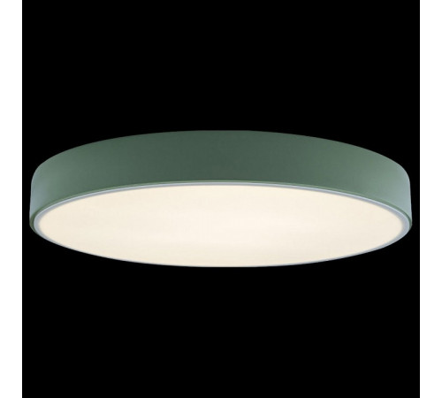 Потолочный светильник Loft IT AXEL 10002/24 Green Потолочный светильник Loft IT AXEL 10002/24 Green